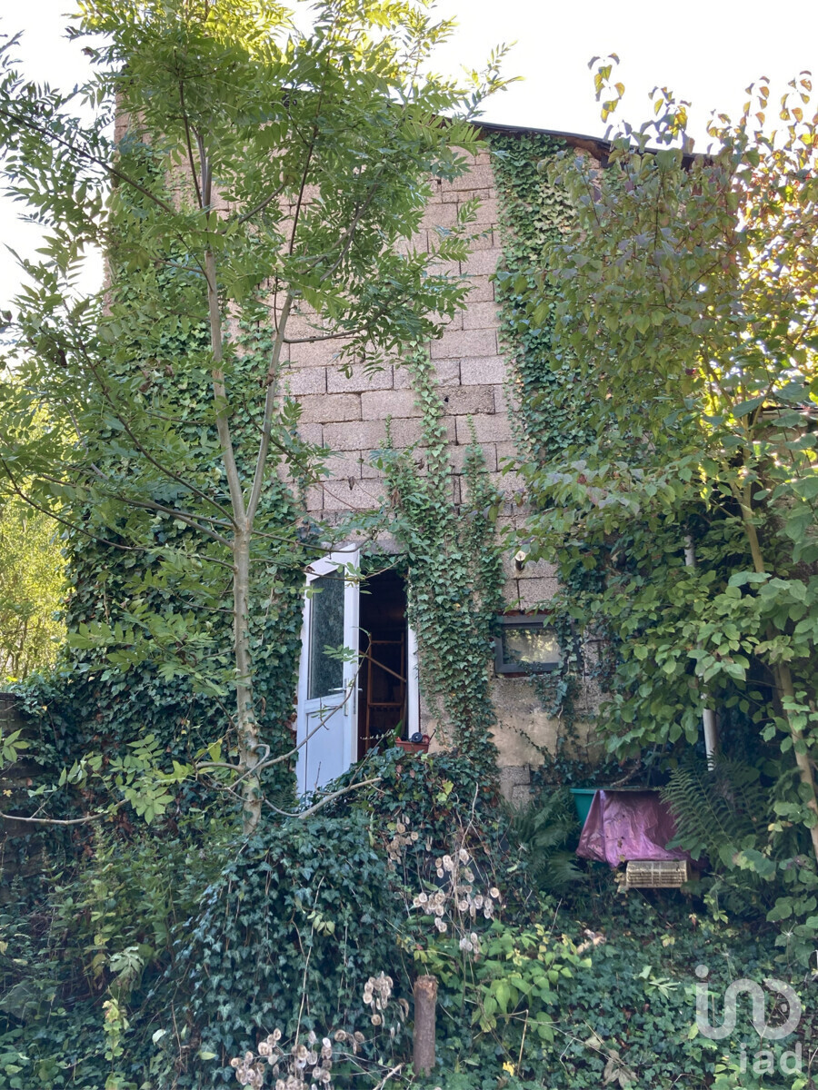 Rückseite Garten