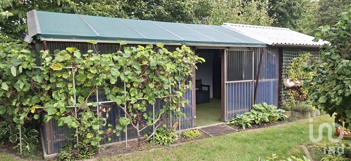 Blockhaus mit überdachte Terrasse