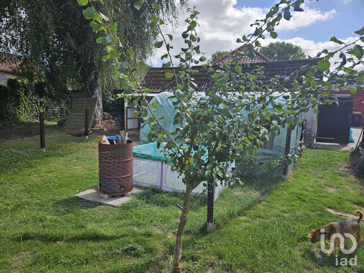 Garten hinten
