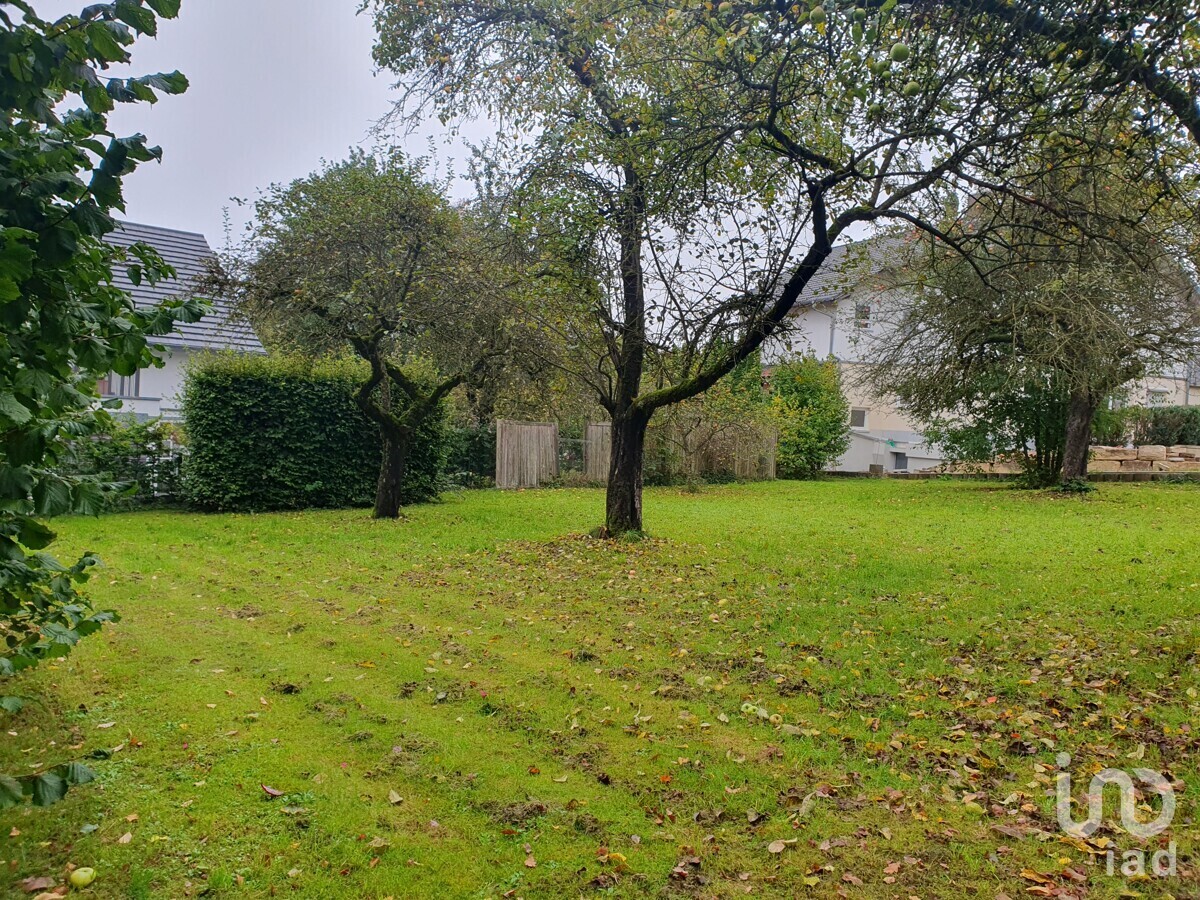Blick aufs Grundstück