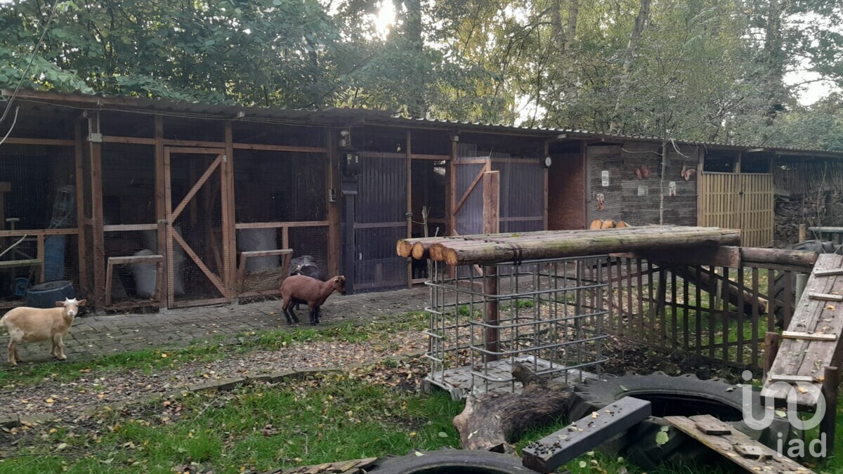 Kleintiergehege Bild II