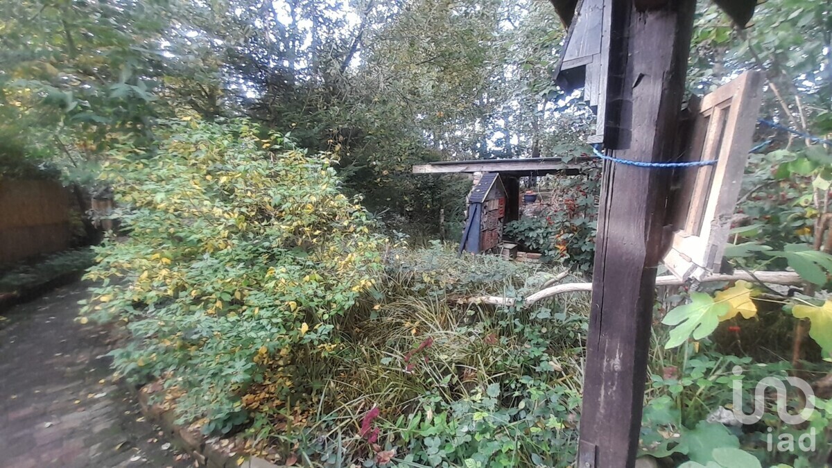 Garten Bild V