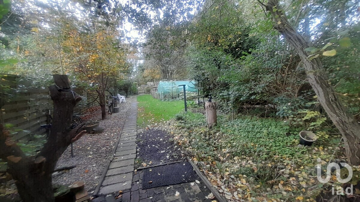 Garten Bild VI