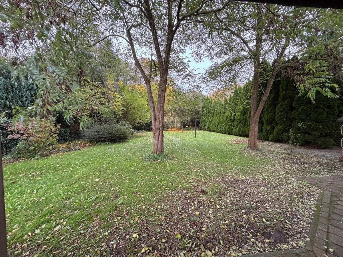 Blick in den Garten