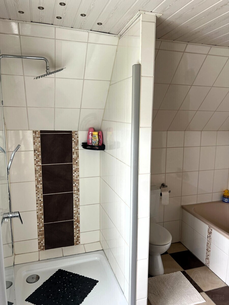 Dusche im Bad DG