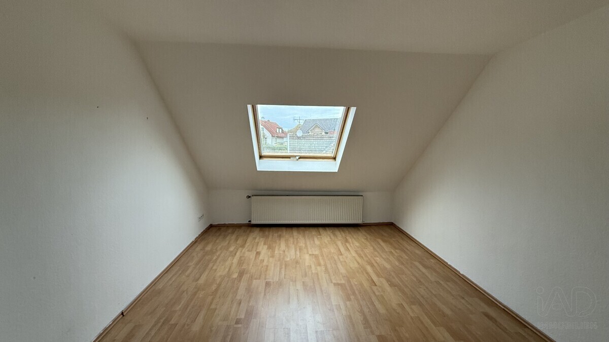 Zimmer DG 1