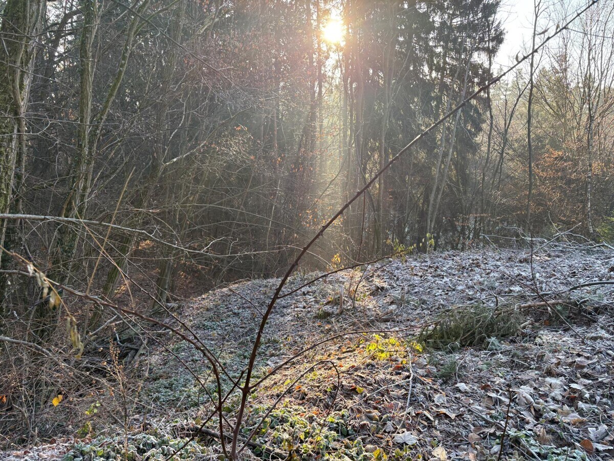 Grundstück