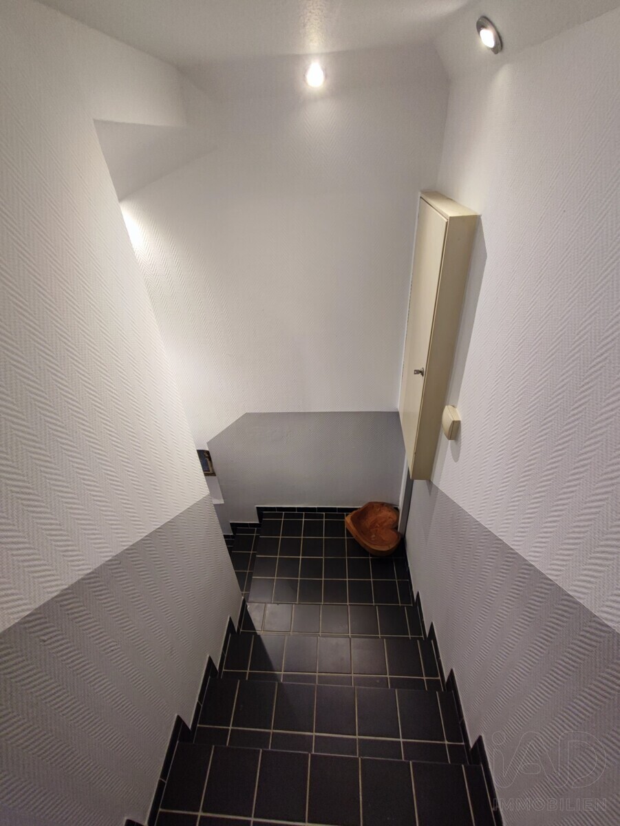 Whg 1 Kellerabgang & Zählerschrank