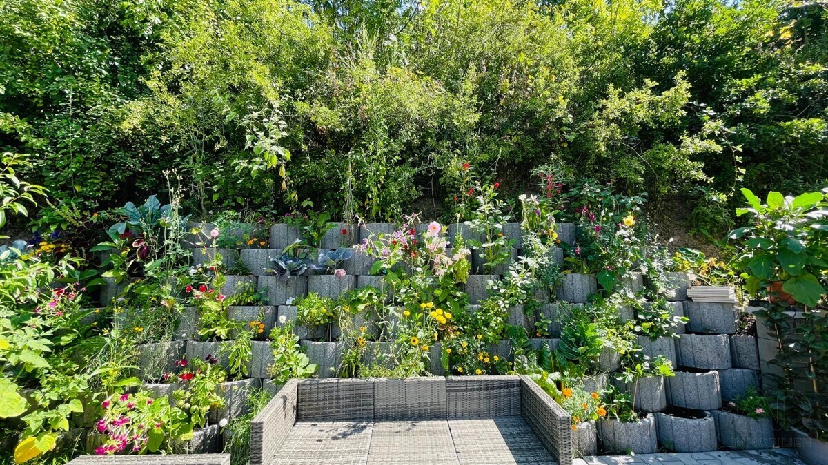 Garten_2
