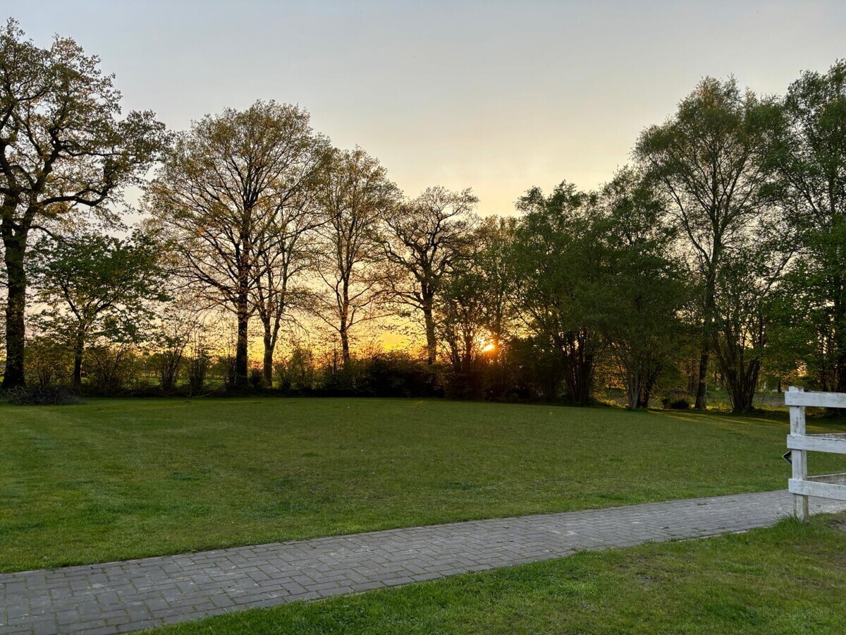 Gartenbereich
