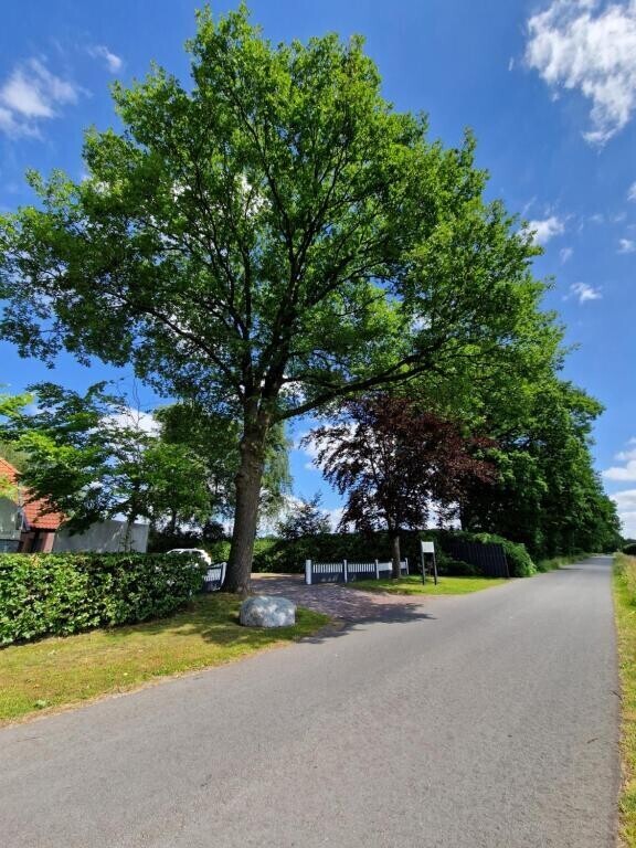 Ruhe pur