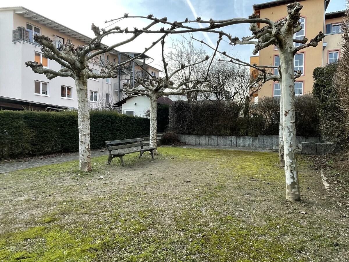 Park