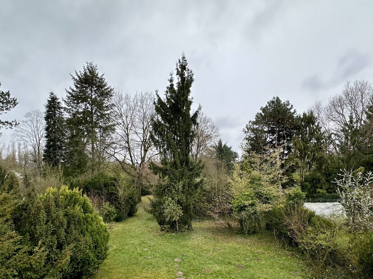 Blick im Garten_2