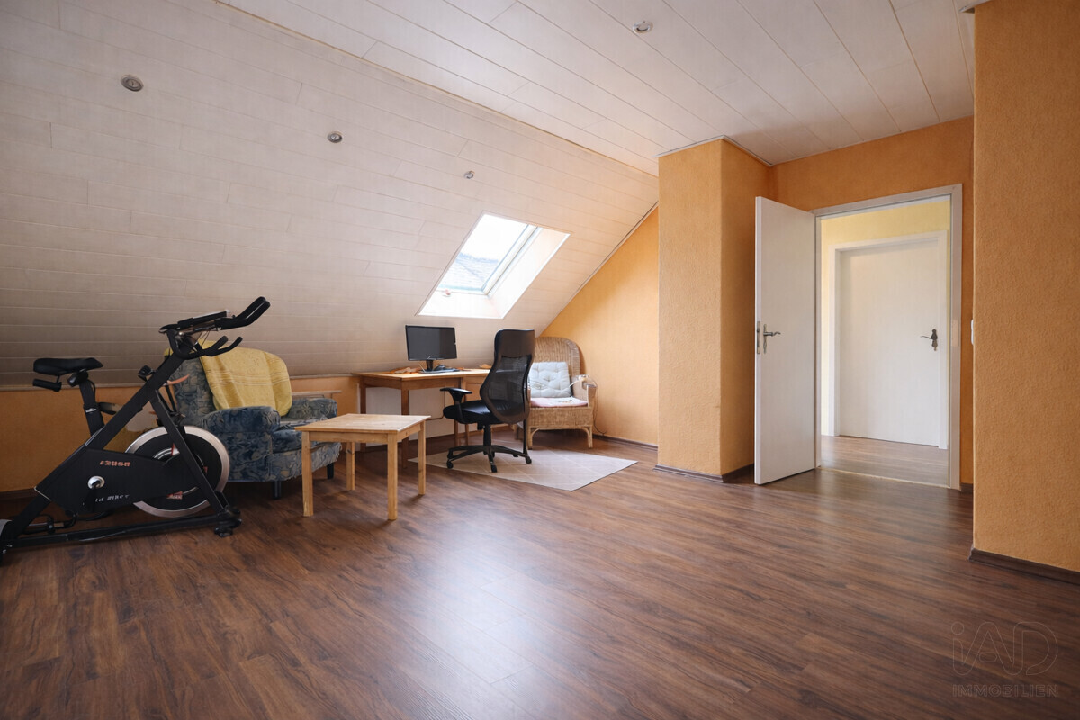Zimmer DG 1