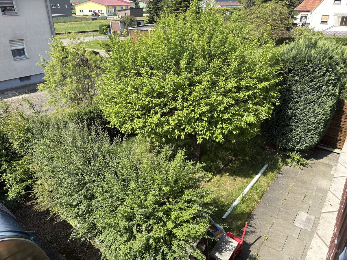 Garten (5)