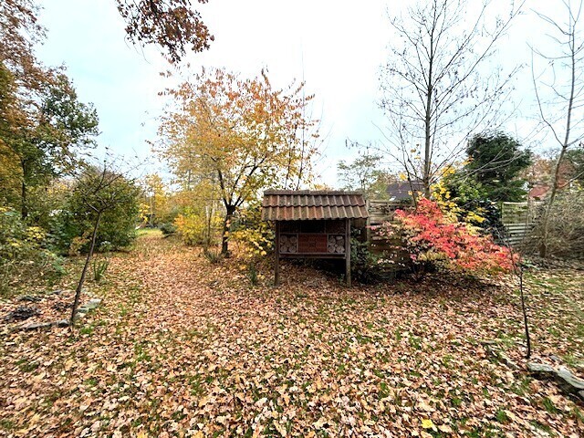 Naturgarten hinterm Haus