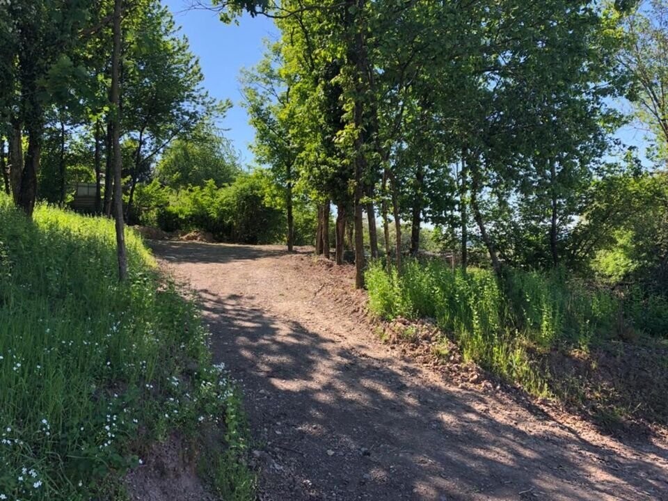 Zufahrtsweg zum Waldgrundstück