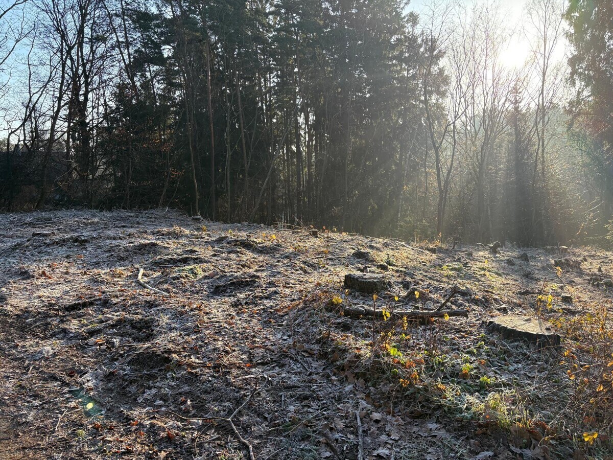 Grundstück