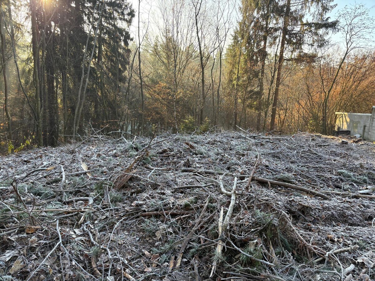Grundstück