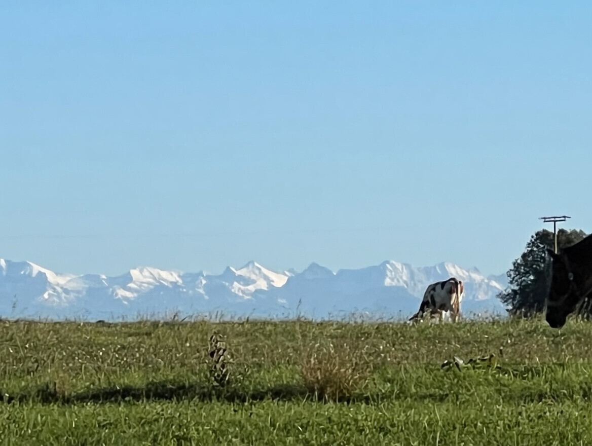 Blick vom OG