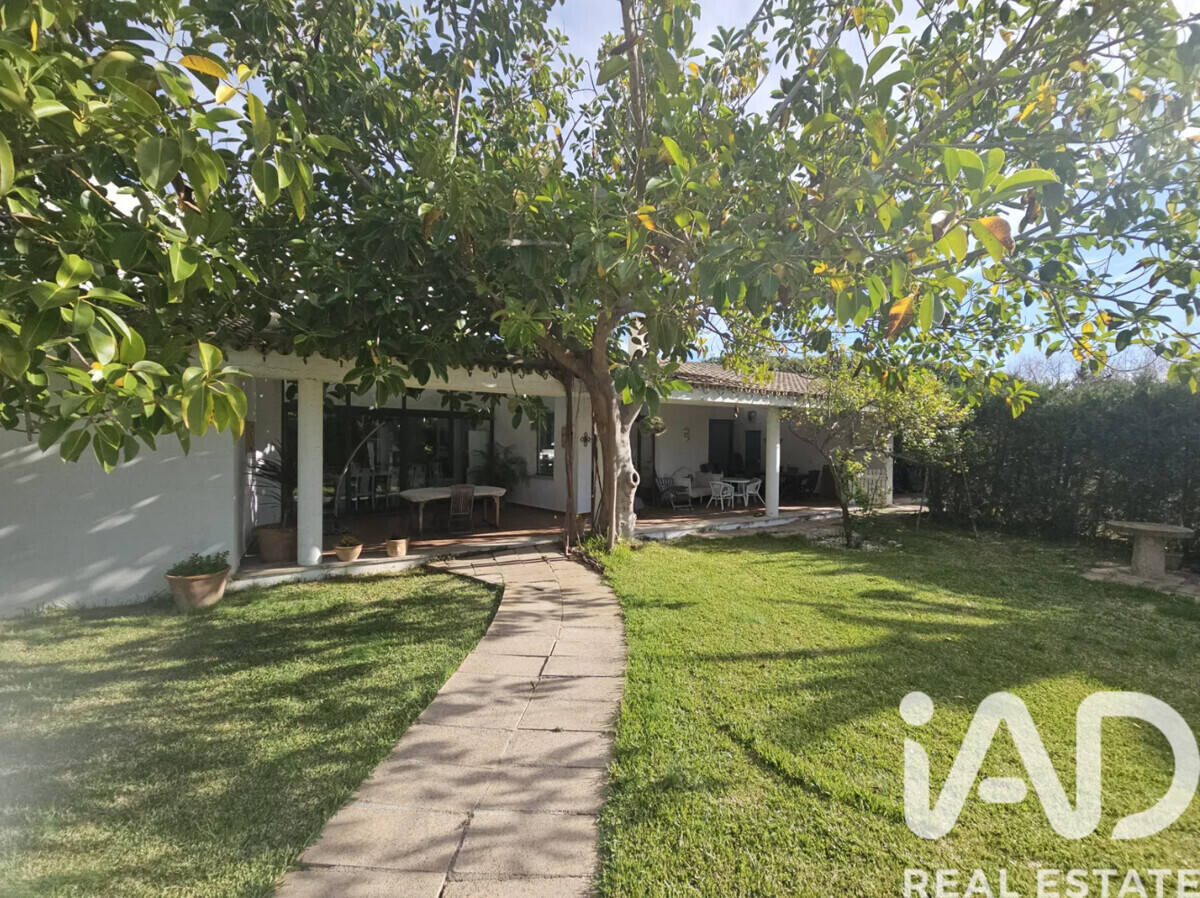 Haus Alcudia 5