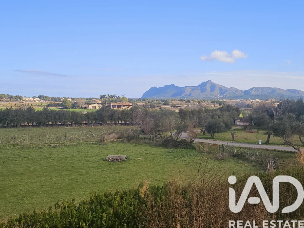 Haus Alcudia 24