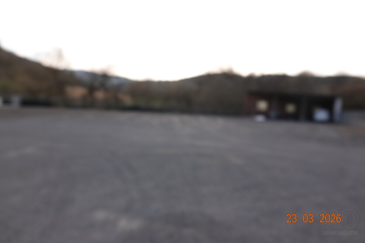 Freifläche