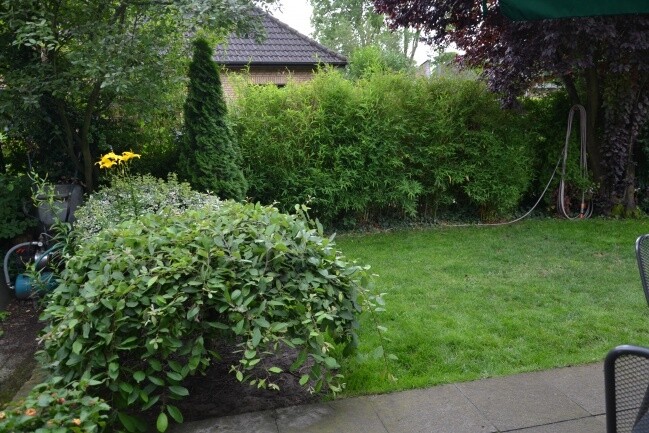 Immobilienbild