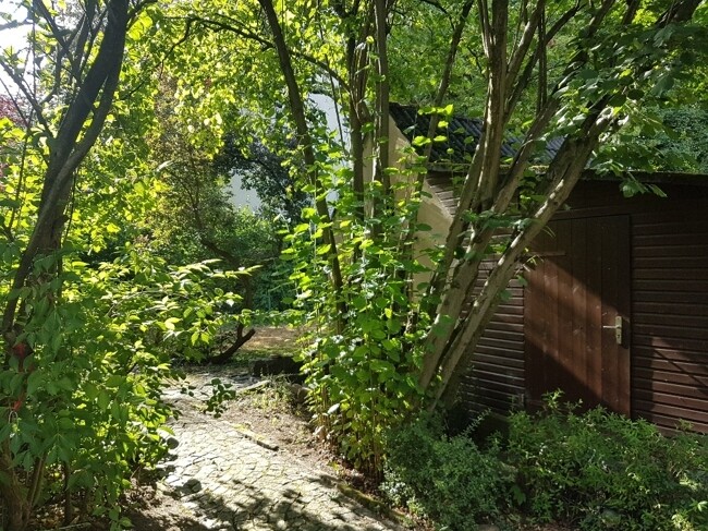 Immobilienbild