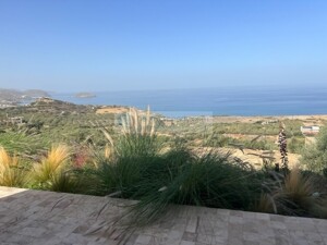 img_16