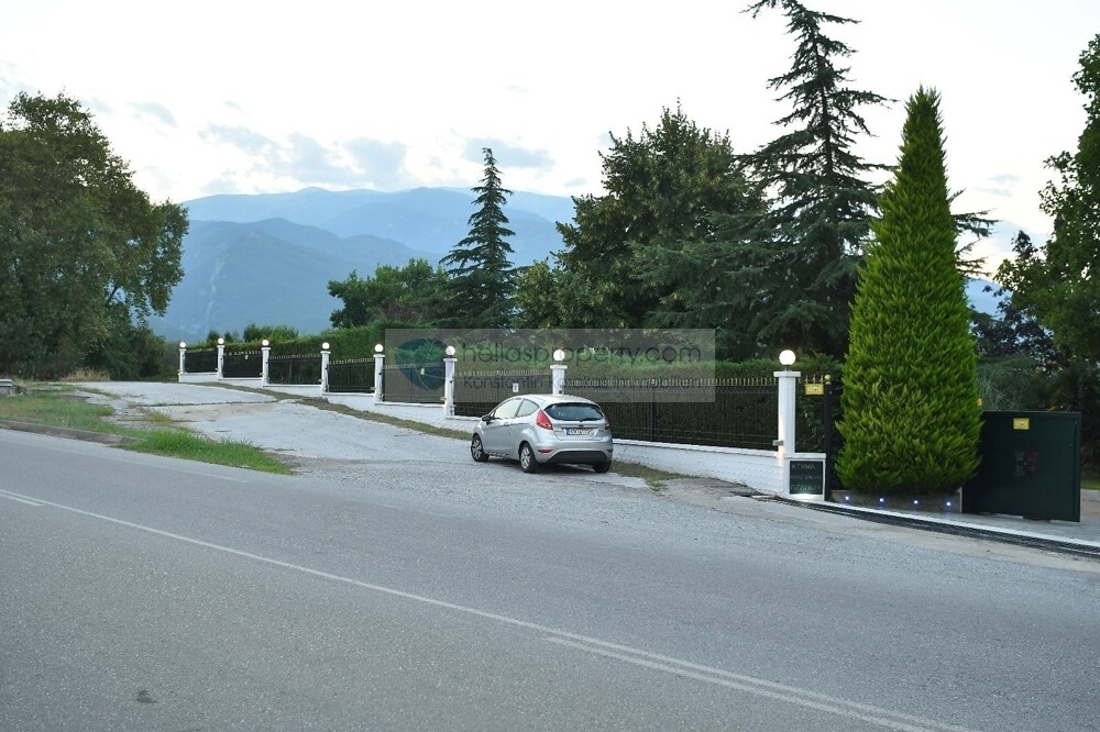 Skotina 6