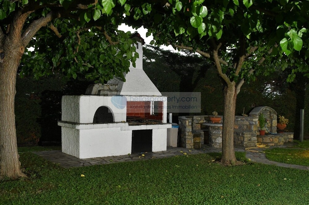 skotina 23