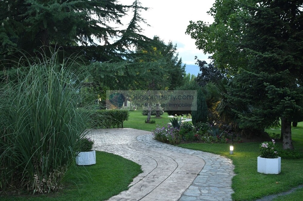 Skotina 8