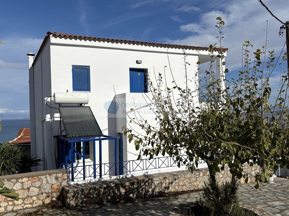 46. REAR ENTRANCE - BACK VIEW