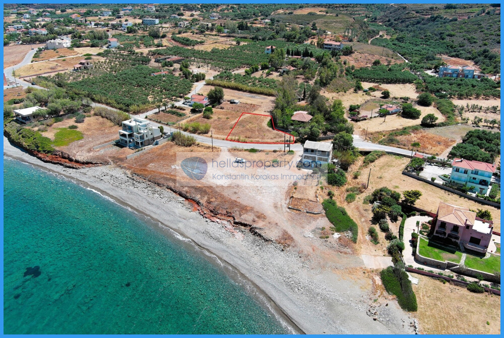 img_10f07ed2-19f2-43d0-aa17-ae25ee3c93b3