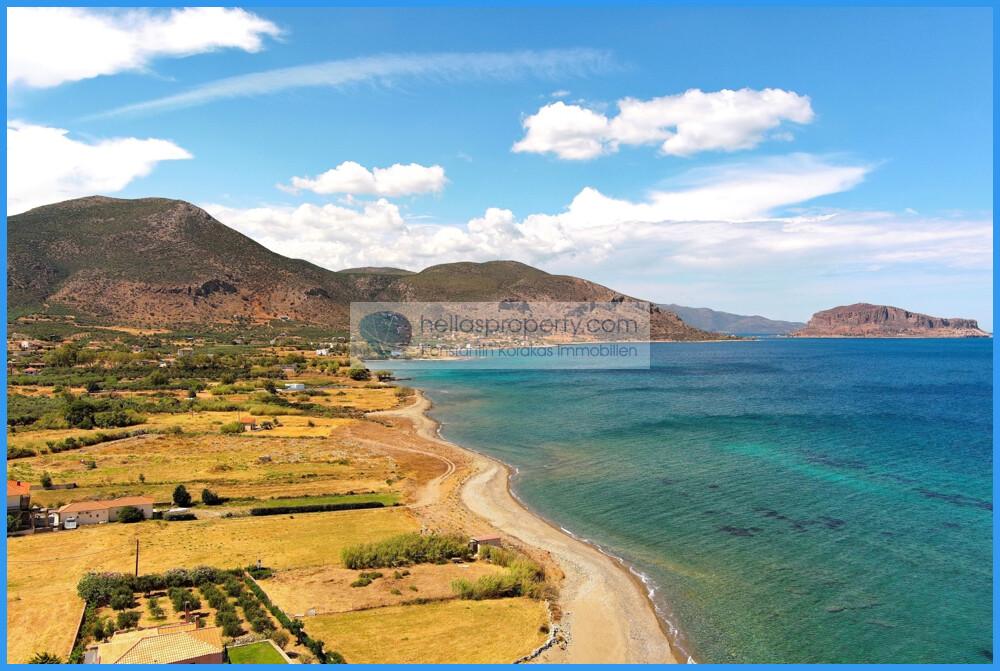 img_526e080e-b899-4ce1-a701-e4fdbfd60e72