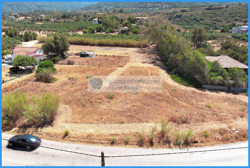 img_ef30b150-cc99-4ddd-ad9a-7096573cb118