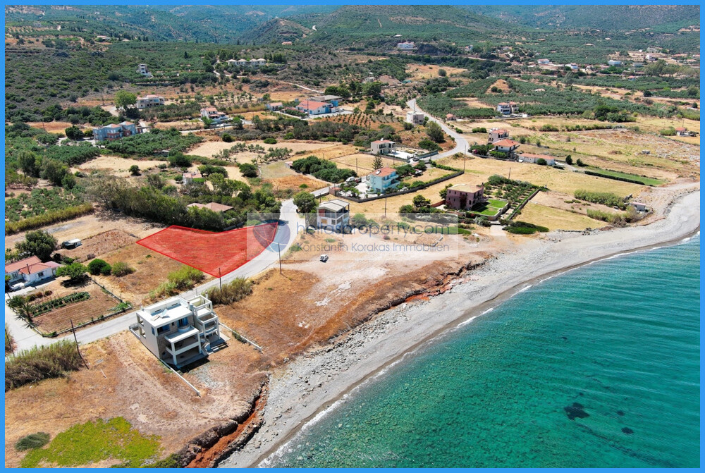 img_549c6c88-832f-44e0-a744-20bdfbc03579