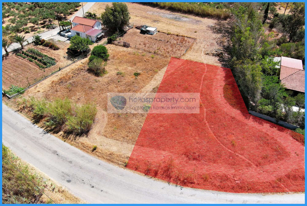 img_6bd52289-ce79-4b1a-a587-ebd47dd130fc