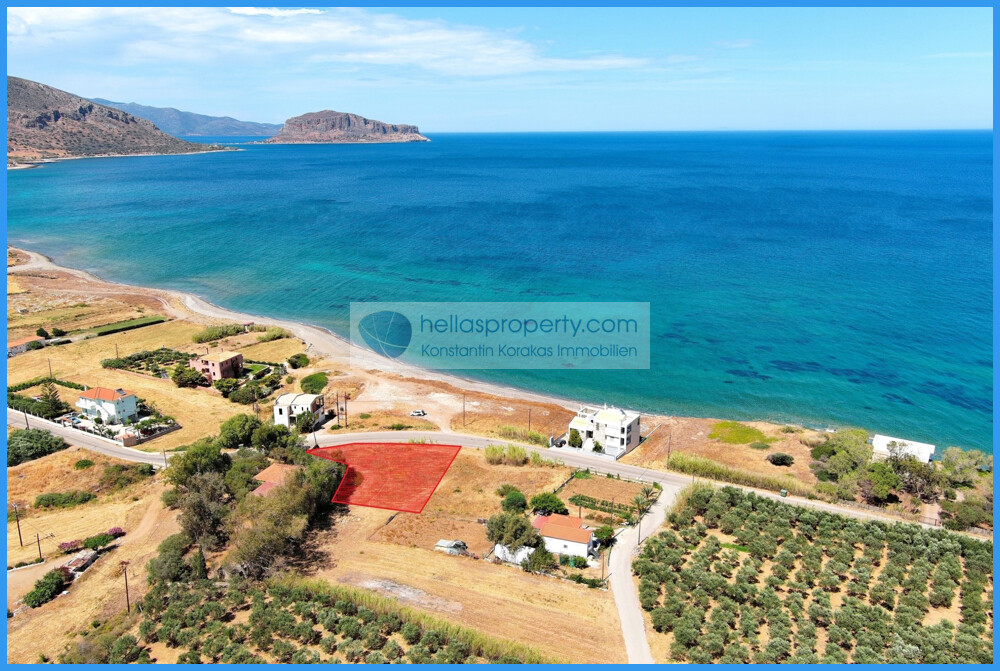 img_7cb58f9a-42df-4c88-9a69-ebb18e3df175