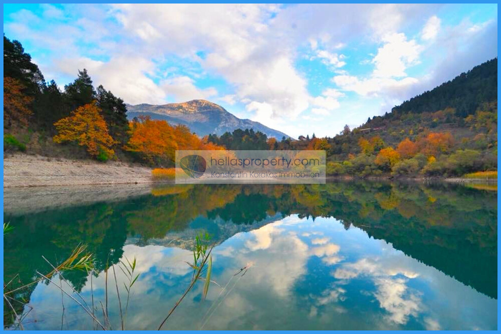 dd2bca597c9b437aabf174cd2958b652-original