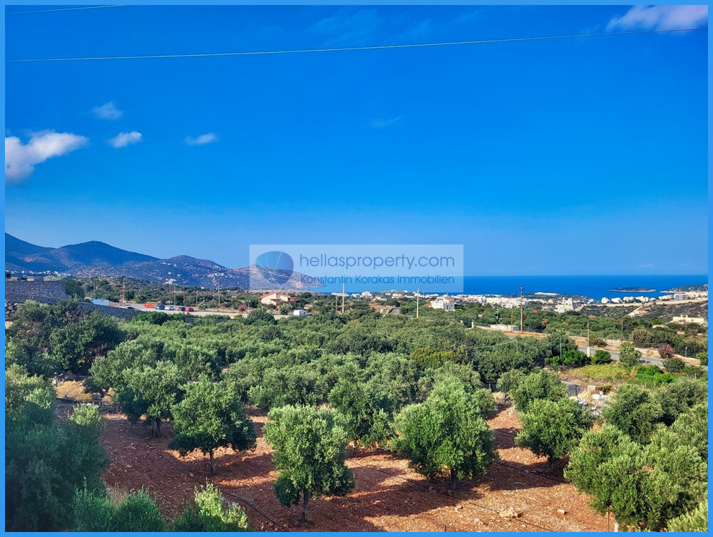 Agios N 3