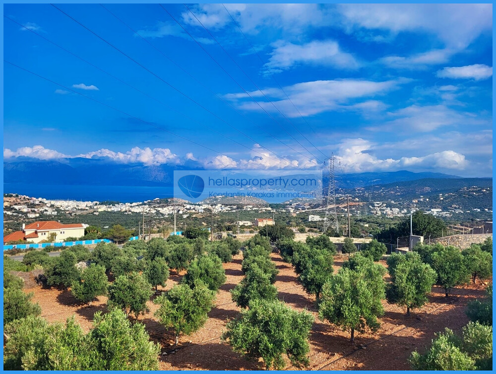 Agios N 5