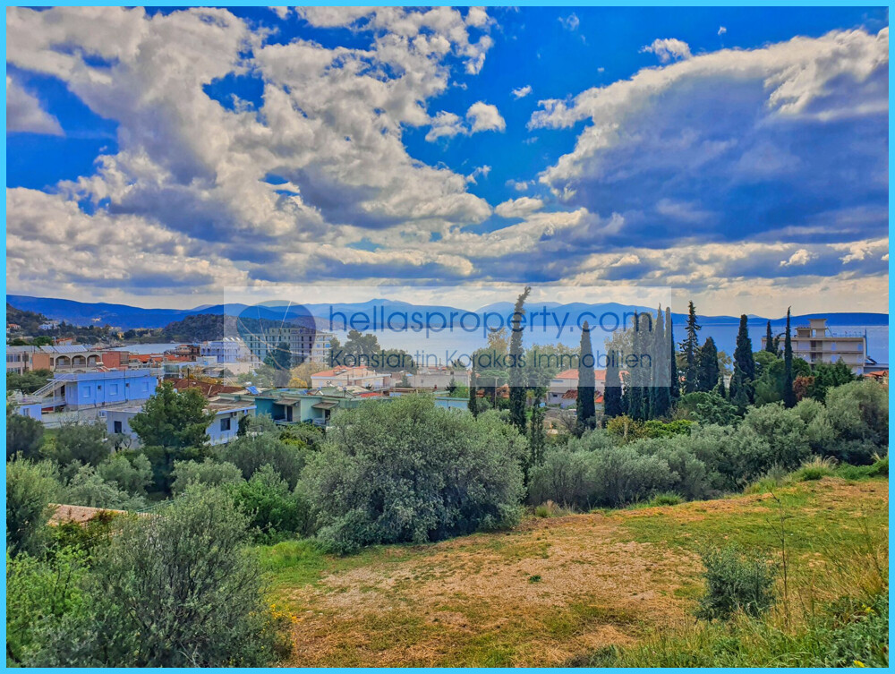 0e1de19c959f48adafd7b23d6fd42b55-original