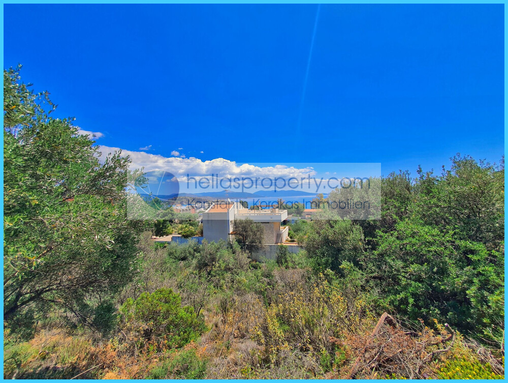 a183c784ccae46fb937d9af19b4af6cd-original