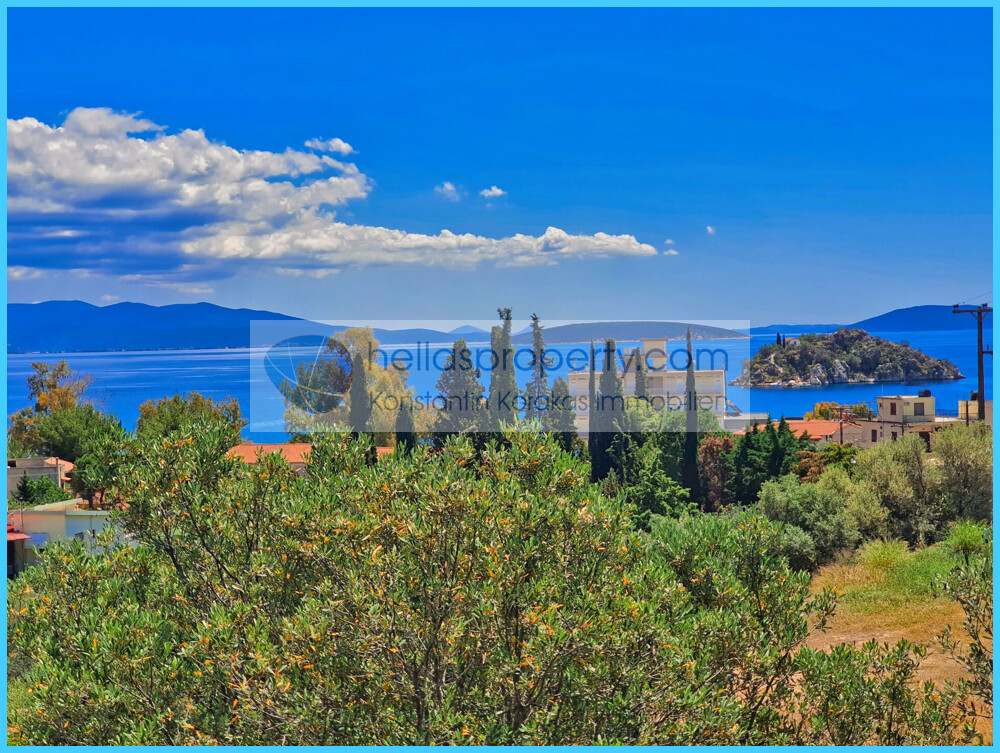 faa0f50861324cba917a3aa2d30e5dd7-original