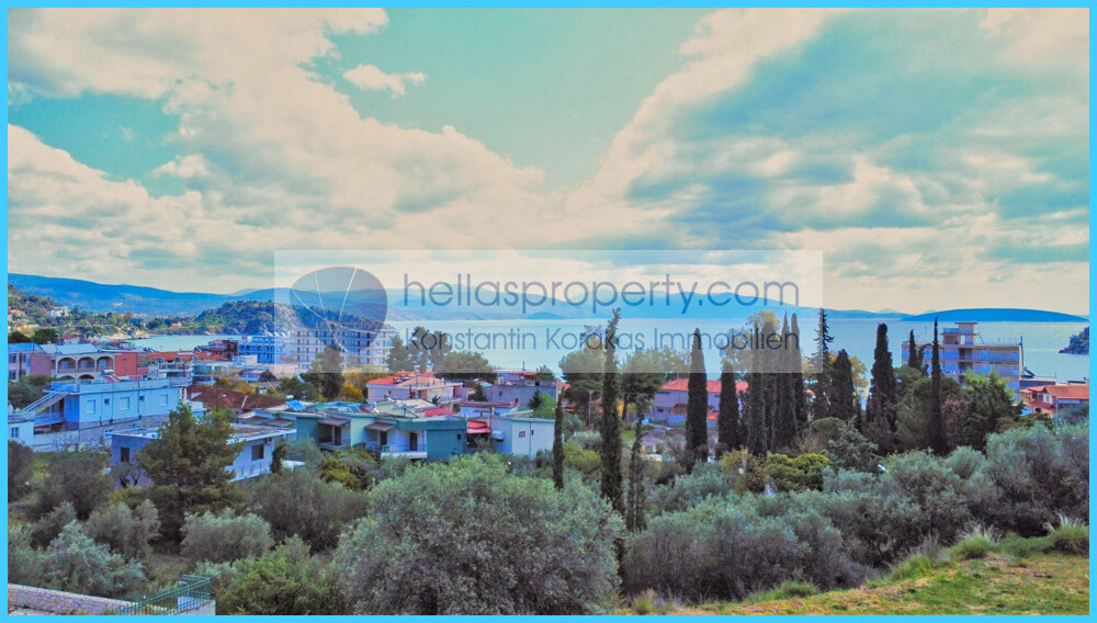 0d0aa6dcb78b4371a26ecb441e48db79-original