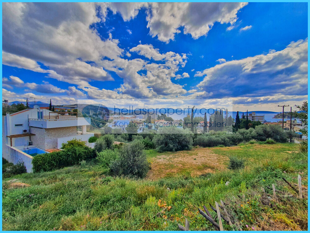 5ac106874d554934a563e03080095f78-original