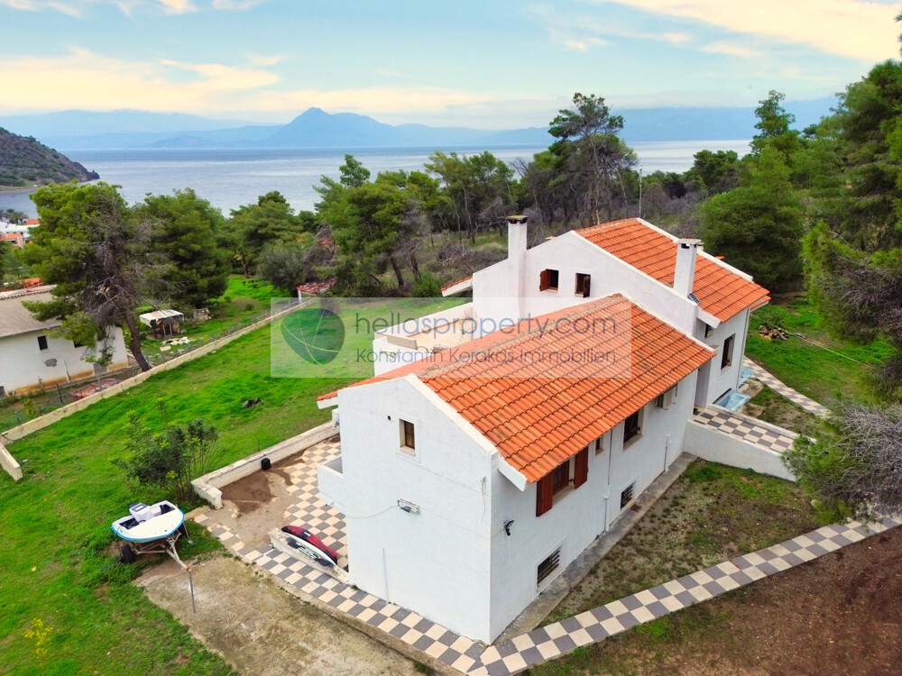 4f88e2a9c4d94529945d139e770105a0-original