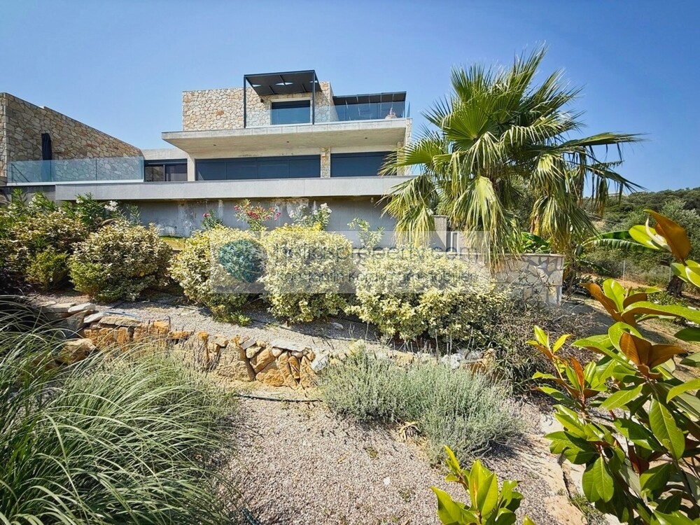 7e176c10083c4629a7e59ce1a2a4a429-original